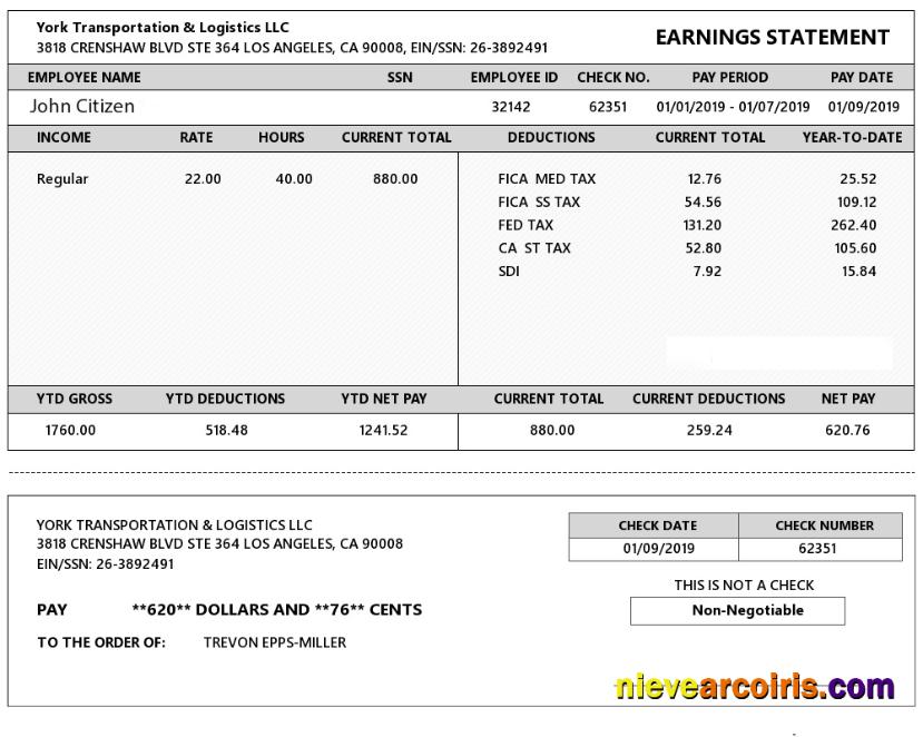 USA YORK Transportation & Logistics LLC earning statement
